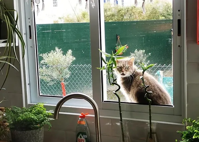 בית נופש Heaven