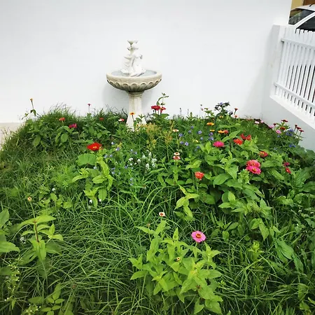 Heaven * Fenais da Luz