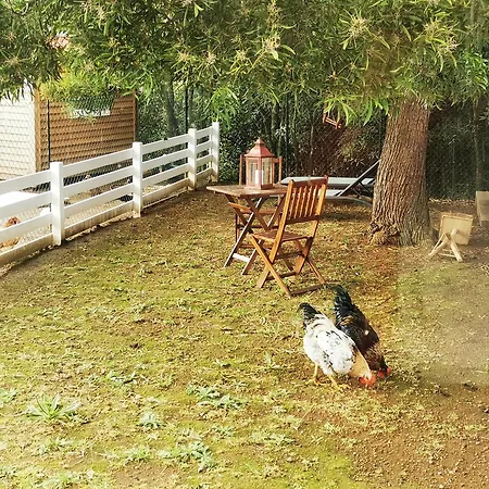 Heaven بيت للعطل *