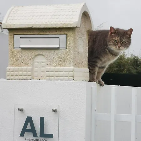 بيت للعطل Heaven