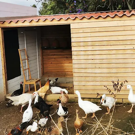 Heaven * Fenais da Luz