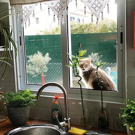 بيت للعطل Heaven