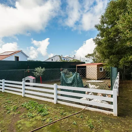 Heaven Fenais da Luz