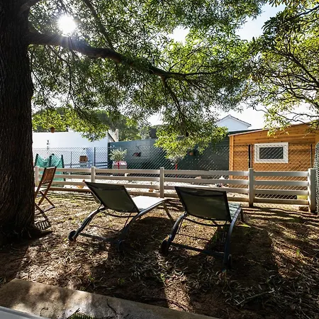 Heaven Fenais da Luz