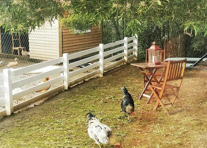 Heaven بيت للعطل Fenais da Luz