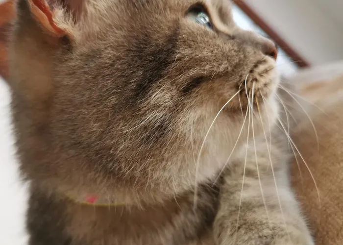 Σπίτι διακοπών Heaven *