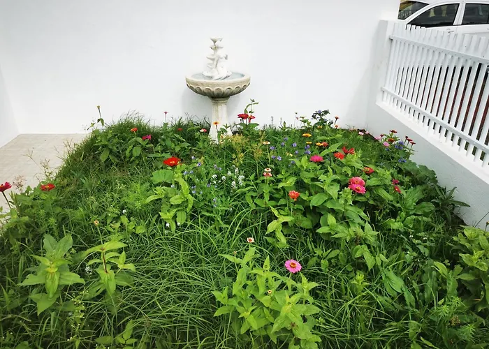 Heaven * Fenais da Luz