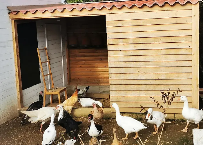 Heaven * Fenais da Luz